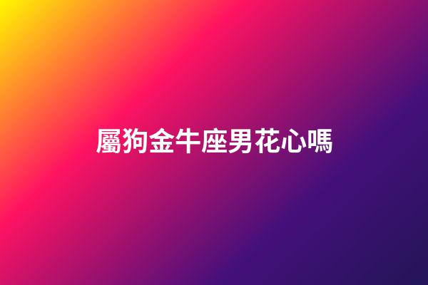屬狗金牛座男花心嗎-第1張-星座運勢-玄機派