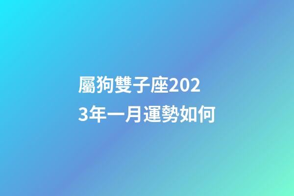 屬狗雙子座2023年一月運勢如何-第1張-星座運勢-玄機派