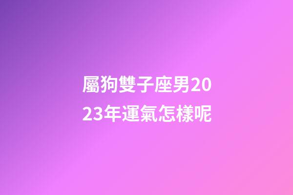 屬狗雙子座男2023年運氣怎樣呢-第1張-星座運勢-玄機派