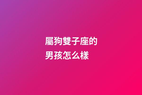 屬狗雙子座的男孩怎么樣-第1張-星座運勢-玄機派