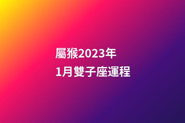 屬猴2023年1月雙子座運程-第1張-星座運勢-玄機派