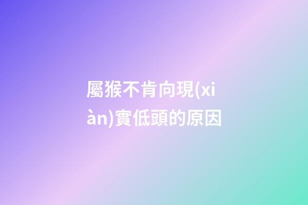 屬猴不肯向現(xiàn)實低頭的原因