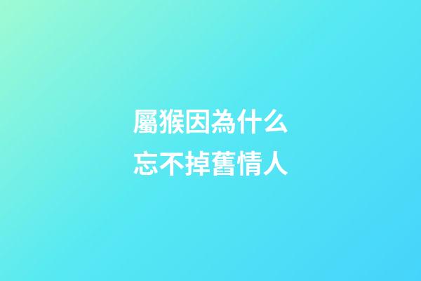 屬猴因為什么忘不掉舊情人