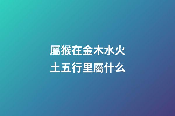 屬猴在金木水火土五行里屬什么