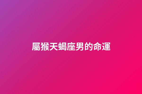 屬猴天蝎座男的命運