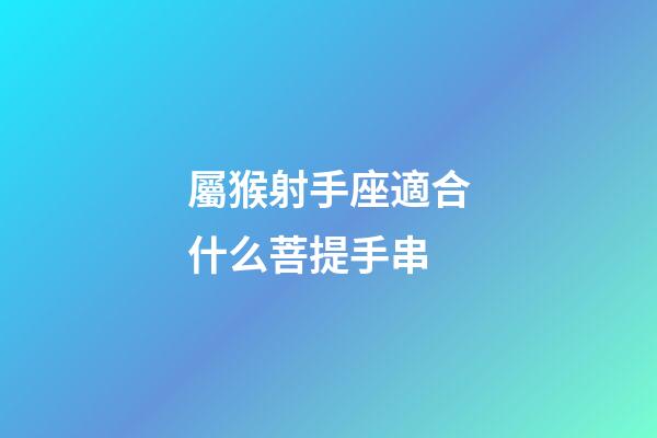 屬猴射手座適合什么菩提手串