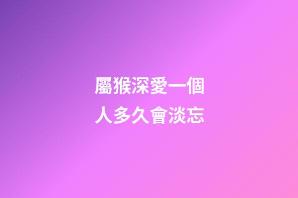 屬猴深愛一個人多久會淡忘