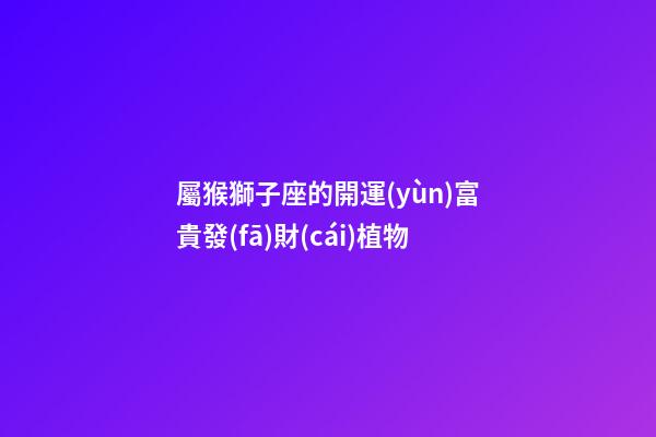 屬猴獅子座的開運(yùn)富貴發(fā)財(cái)植物