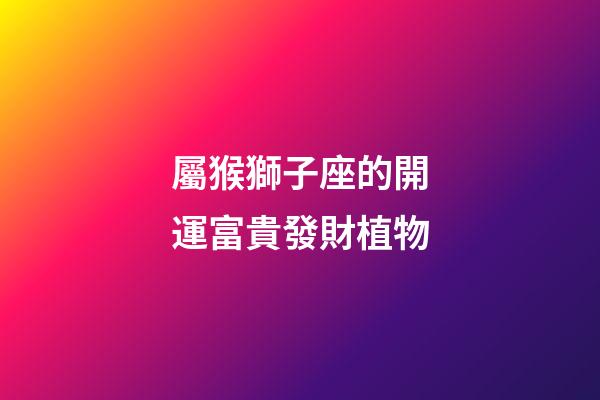 屬猴獅子座的開運富貴發財植物