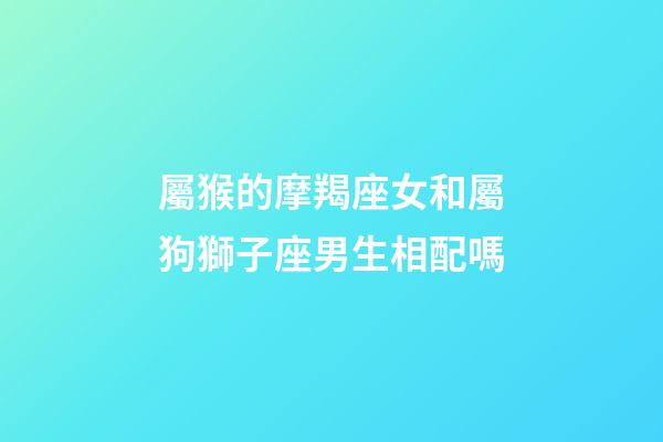 屬猴的摩羯座女和屬狗獅子座男生相配嗎-第1張-星座運勢-玄機派
