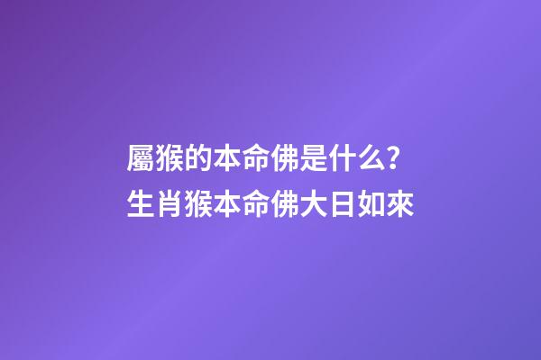 屬猴的本命佛是什么？生肖猴本命佛大日如來