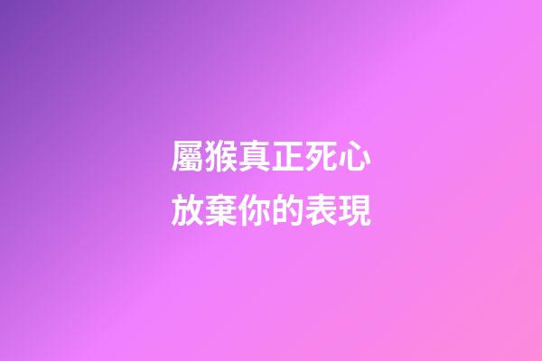 屬猴真正死心放棄你的表現