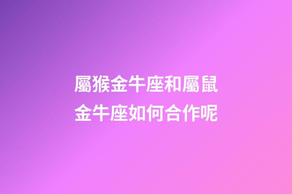 屬猴金牛座和屬鼠金牛座如何合作呢-第1張-星座運勢-玄機派