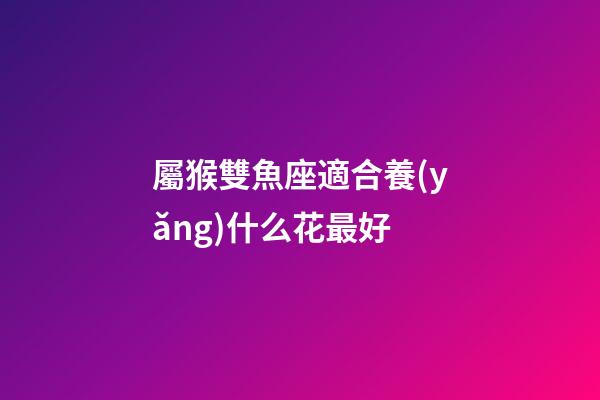 屬猴雙魚座適合養(yǎng)什么花最好-第1張-星座運(yùn)勢-玄機(jī)派