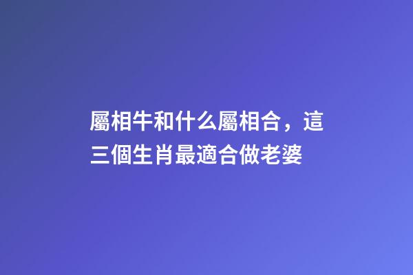 屬相牛和什么屬相合，這三個生肖最適合做老婆-第1張-觀點-玄機派