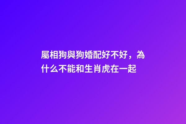 屬相狗與狗婚配好不好，為什么不能和生肖虎在一起