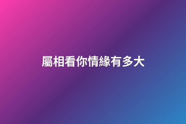 屬相看你情緣有多大