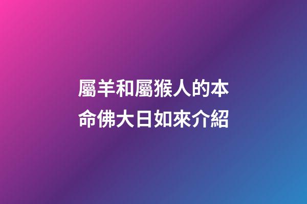 屬羊和屬猴人的本命佛大日如來介紹