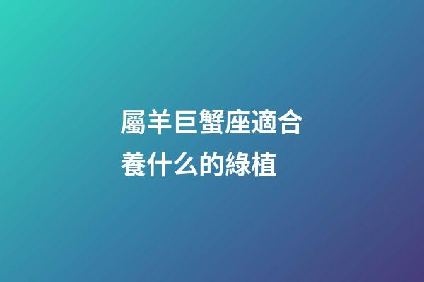 屬羊巨蟹座適合養什么的綠植-第1張-星座運勢-玄機派