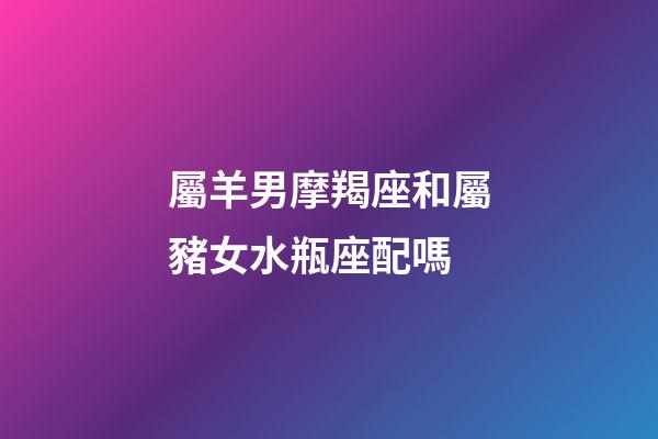 屬羊男摩羯座和屬豬女水瓶座配嗎-第1張-星座運勢-玄機派