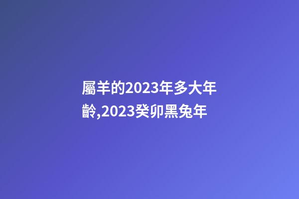 屬羊的2023年多大年齡,2023癸卯黑兔年-第1張-觀點-玄機派