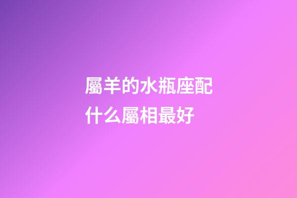 屬羊的水瓶座配什么屬相最好-第1張-星座運勢-玄機派