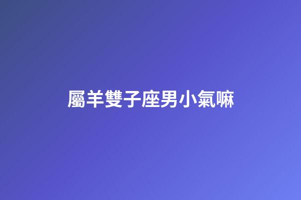 屬羊雙子座男小氣嘛