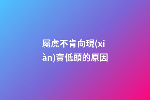 屬虎不肯向現(xiàn)實低頭的原因