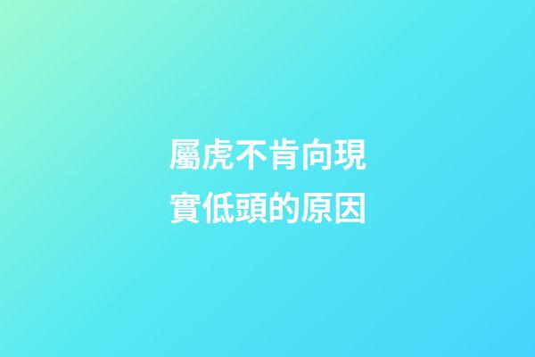 屬虎不肯向現實低頭的原因