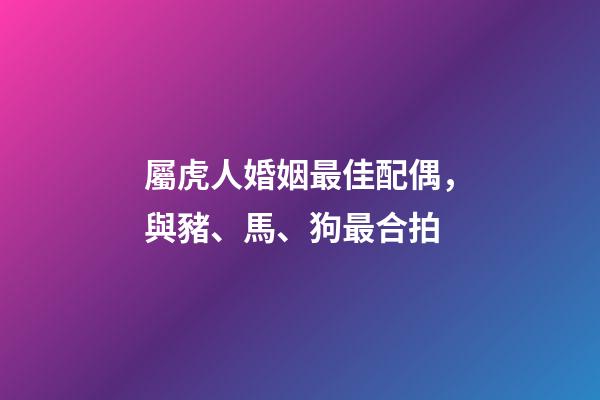 屬虎人婚姻最佳配偶，與豬、馬、狗最合拍