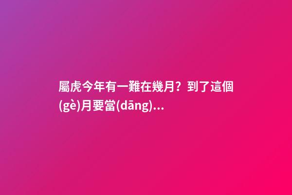 屬虎今年有一難在幾月？到了這個(gè)月要當(dāng)心
