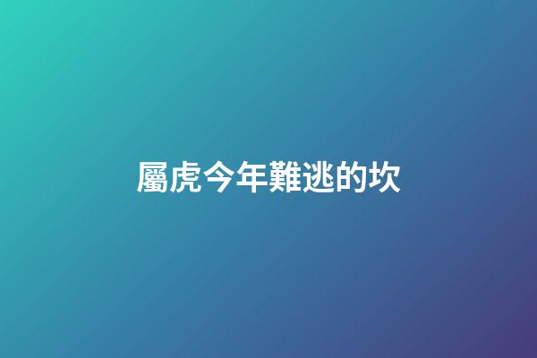 屬虎今年難逃的坎