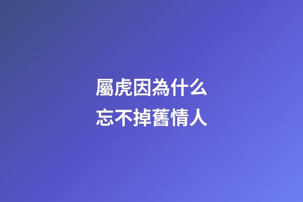 屬虎因為什么忘不掉舊情人