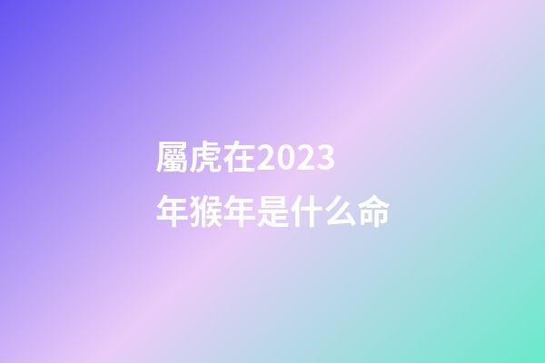 屬虎在2023年猴年是什么命