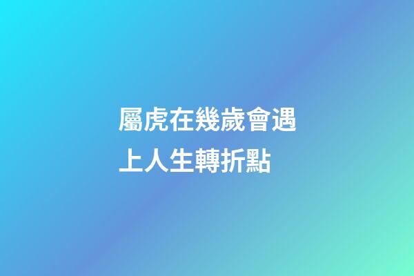 屬虎在幾歲會遇上人生轉折點