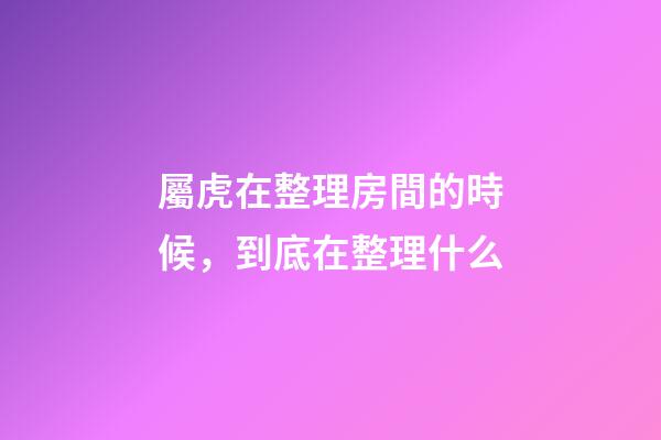 屬虎在整理房間的時候，到底在整理什么