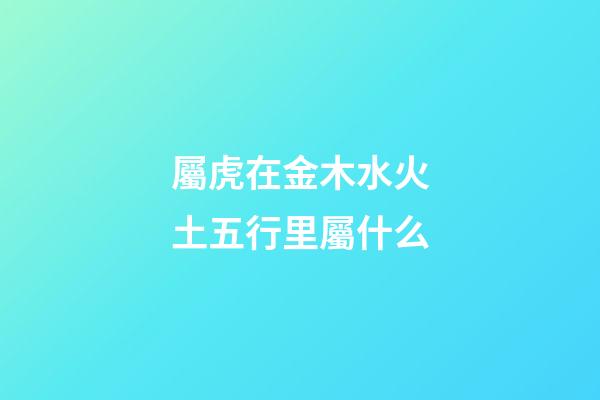屬虎在金木水火土五行里屬什么