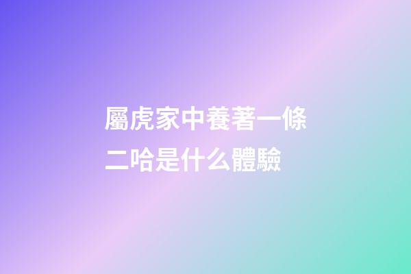 屬虎家中養著一條二哈是什么體驗