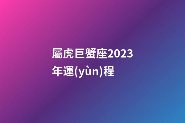 屬虎巨蟹座2023年運(yùn)程-第1張-星座運(yùn)勢-玄機(jī)派