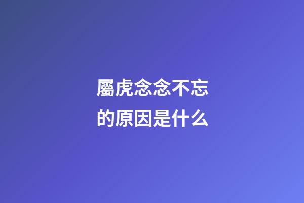 屬虎念念不忘的原因是什么
