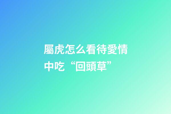 屬虎怎么看待愛情中吃“回頭草”