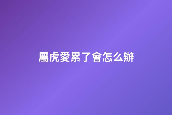 屬虎愛累了會怎么辦
