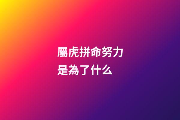 屬虎拼命努力是為了什么