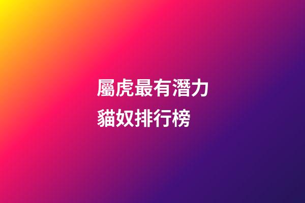 屬虎最有潛力貓奴排行榜