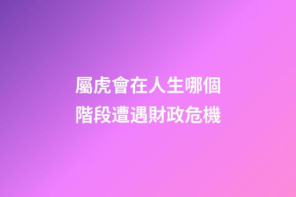 屬虎會在人生哪個階段遭遇財政危機