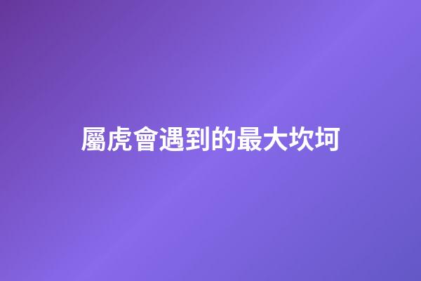 屬虎會遇到的最大坎坷