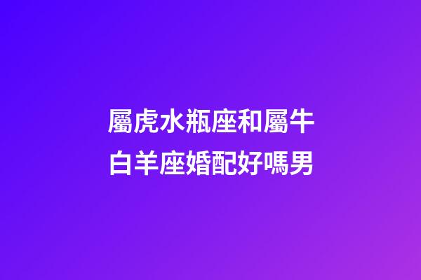 屬虎水瓶座和屬牛白羊座婚配好嗎男-第1張-星座運勢-玄機派