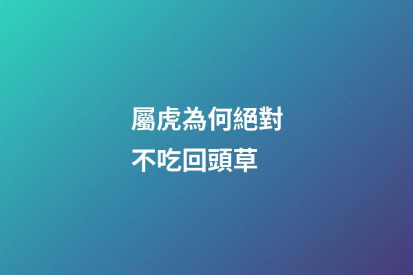 屬虎為何絕對不吃回頭草