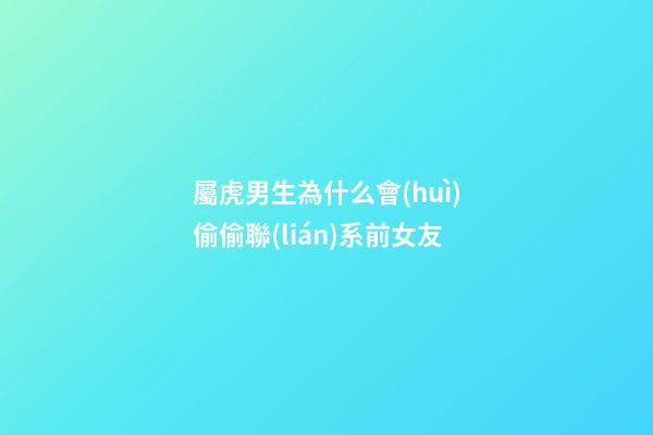 屬虎男生為什么會(huì)偷偷聯(lián)系前女友