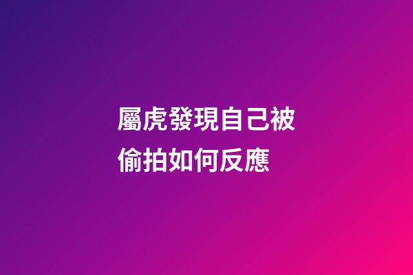屬虎發現自己被偷拍如何反應